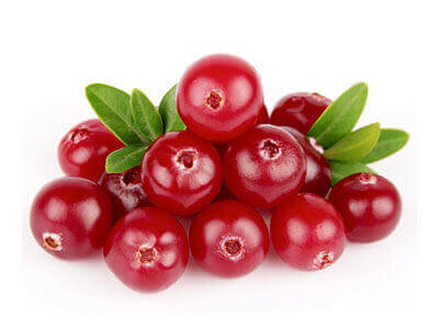 CRANBERRY