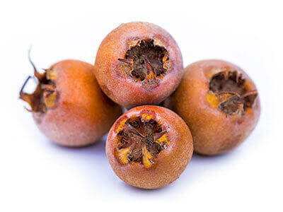 MEDLAR