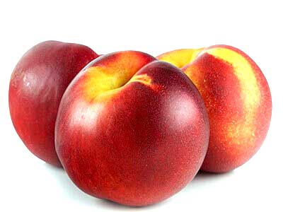 NECTARINE