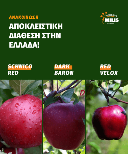 Ανακοίνωση της Milis Nurseries