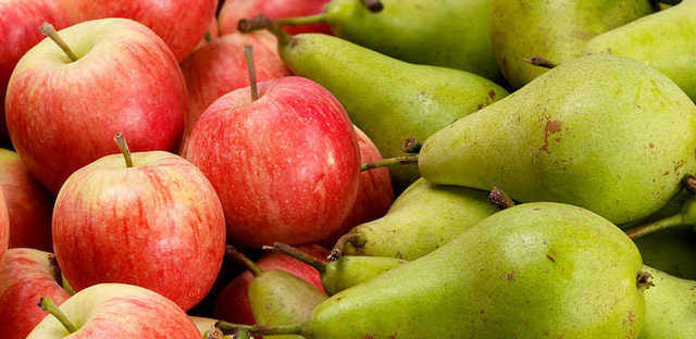 Estimation of the spanish apple and pear production