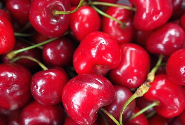 SOUR CHERRY Photo 1